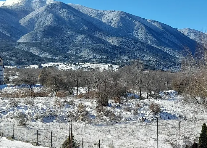 Apartament Lux L201 *